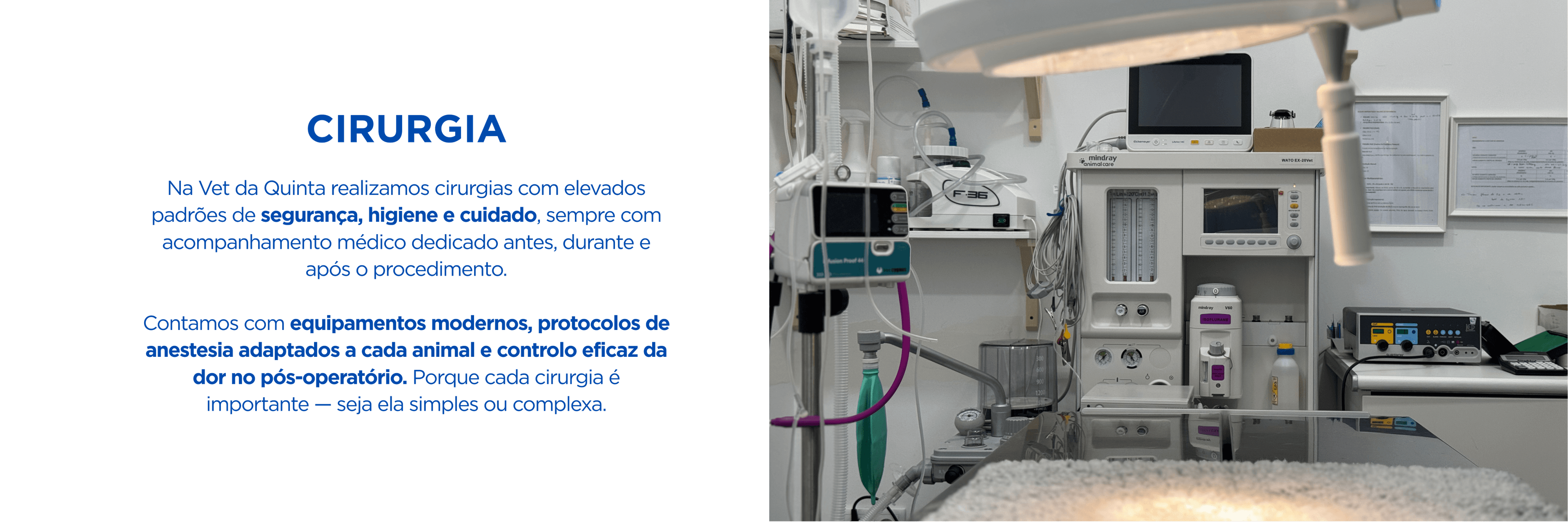 Vet da quinta